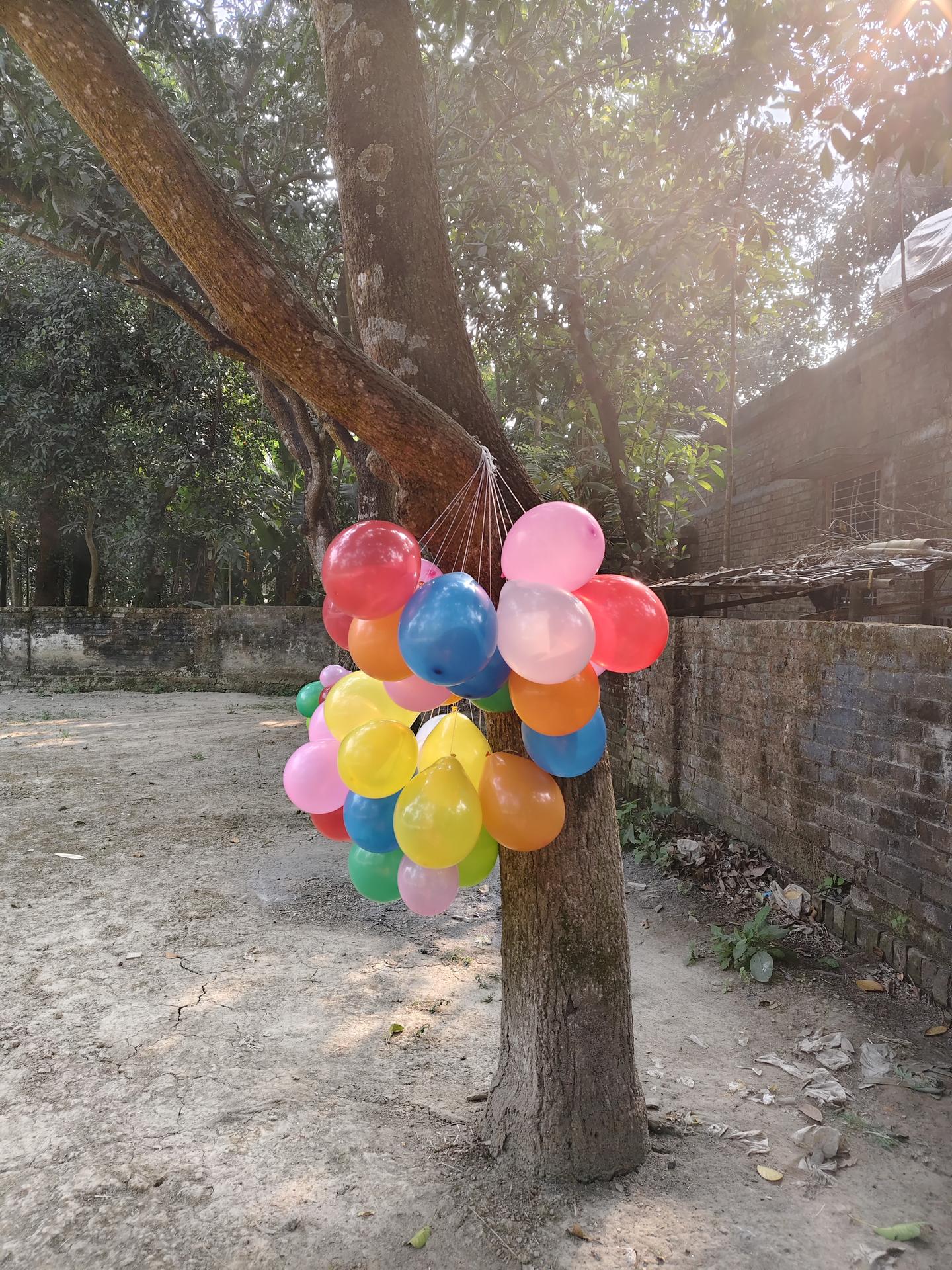 School Staff and Principal Group